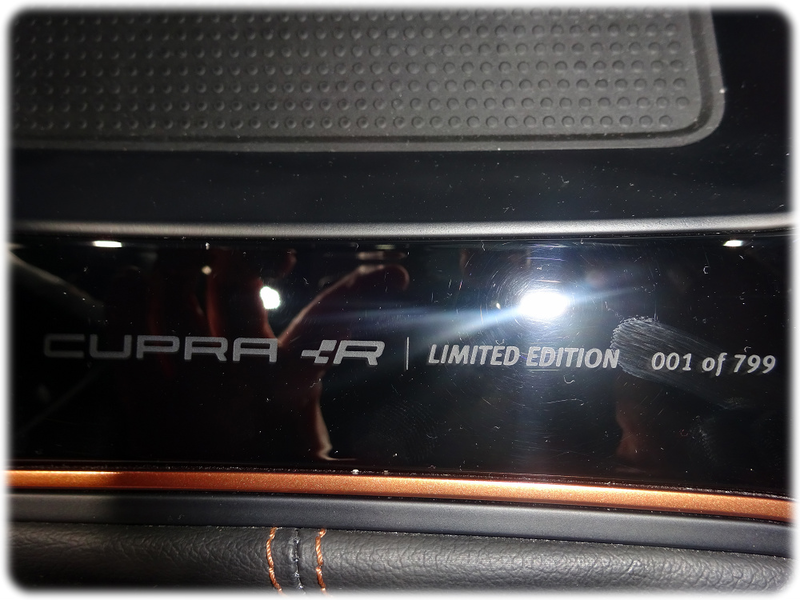 Cupra Plaque and Branding