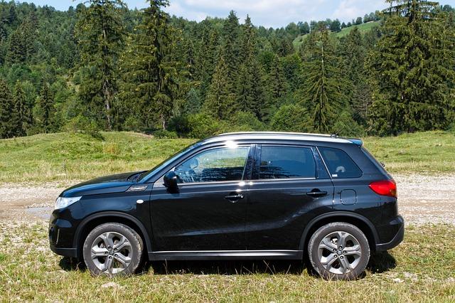 Image of an Older Suzuki Vitara