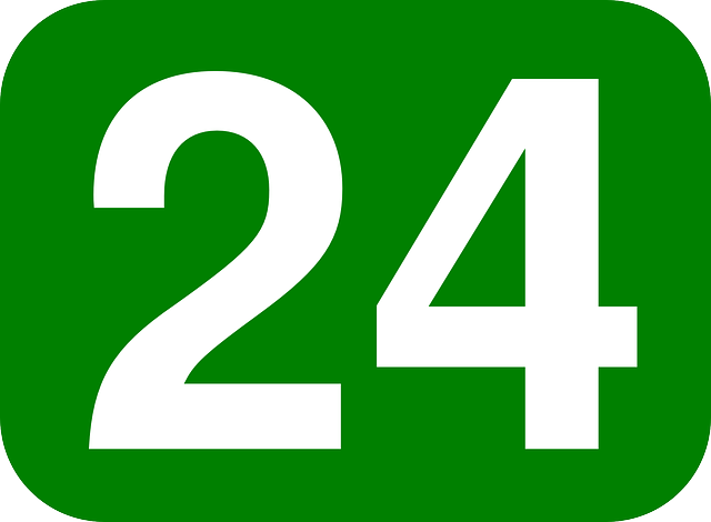 Image of a 2024 Vehicle Registration