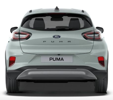 Ford Puma ST-Line X in Cactus Grey (uk-car-discount.com)