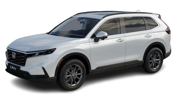 New Honda CR-V in White Paint 2025 Model
