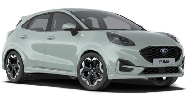 New Ford Puma ST-Line X in Cactus Grey Paint